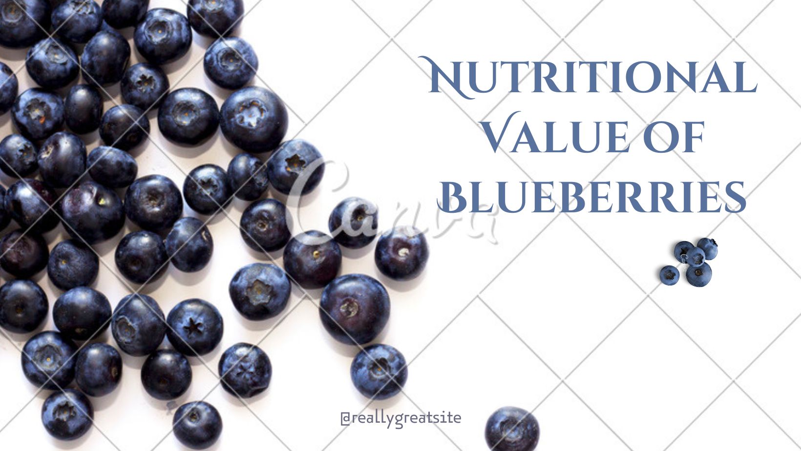 Nutritional Value of Blueberries