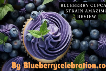 blueberry cupcake strain review